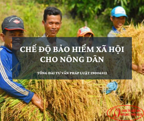 BHXHVN - Hướng dẫn tham gia bảo hiểm xã hội tự nguyện dành cho nông dân