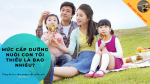 What is the minimum child support?