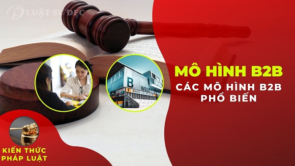Các mô hình doanh nghiệp B2B phổ biến ở Việt Nam?